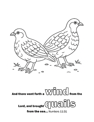 Quails