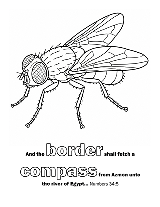 And the border shall