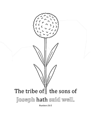 The tribe of