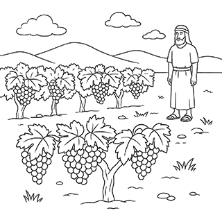 Vineyards