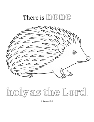 There is none