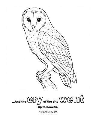 The cry of