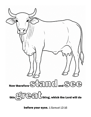Now therefore stand