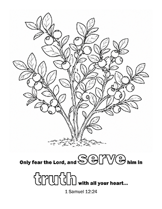 Serve him in truth
