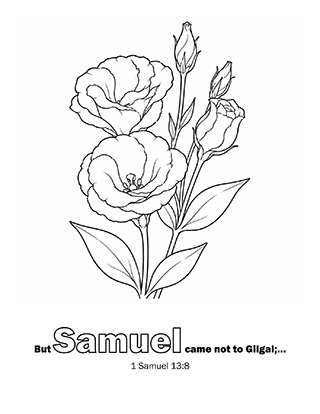 Samuel came not