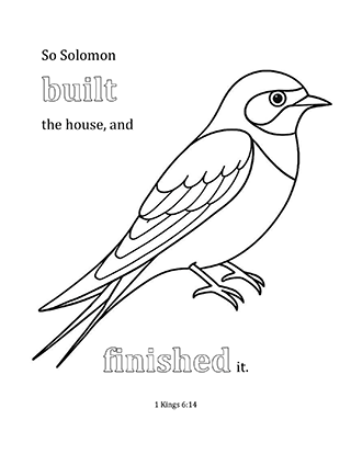 So Solomon