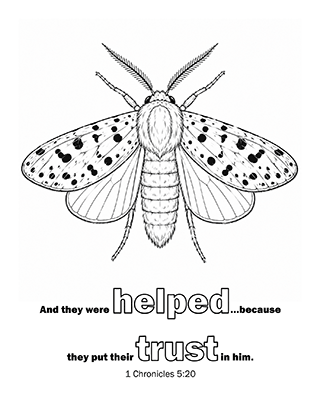 And he was intreated