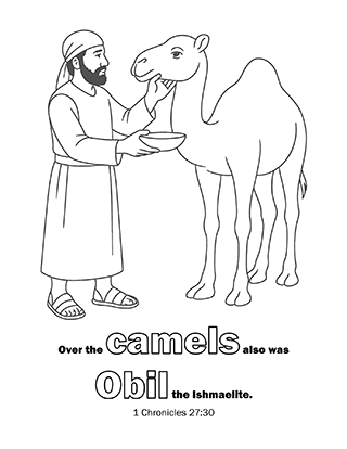 Obil caring for camels
