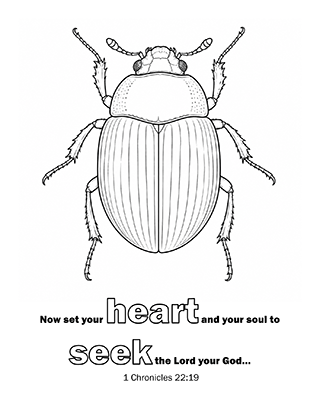 Now set your