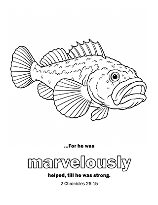 For he was marvellously