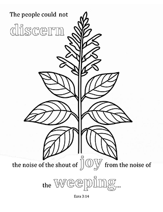 The people could not