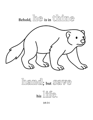 Behold he is