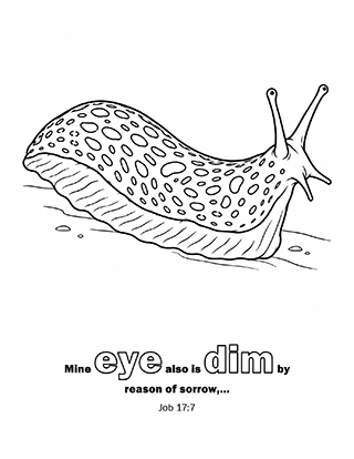 Mine eye also is