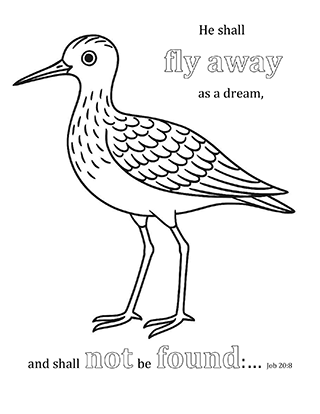 He shall fly away