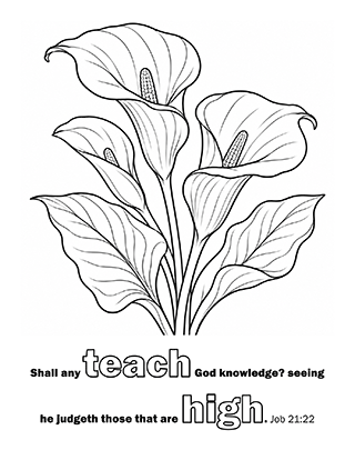 Shall any teach