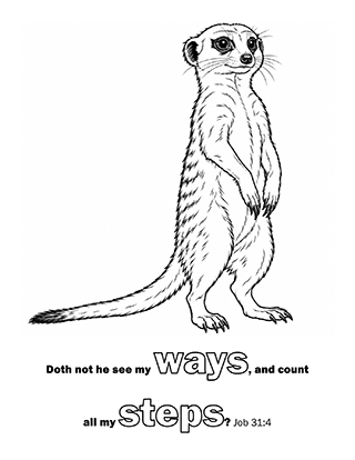 Doth not he