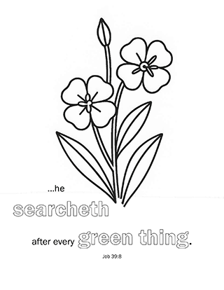 He searcheth