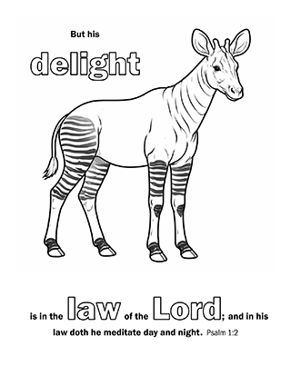 But his delight