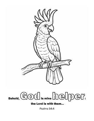 Behold God is