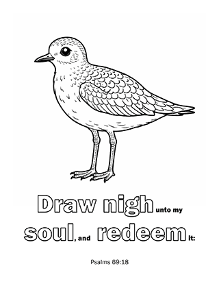 Draw nigh