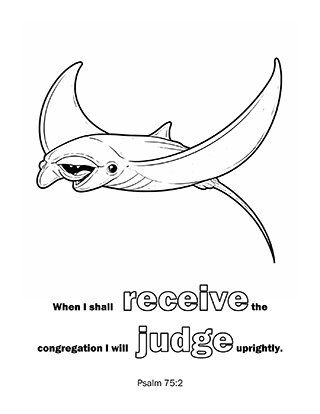 When I shall