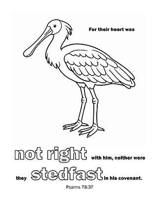 For their heart