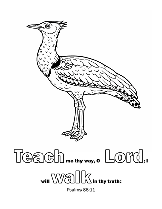 Teach me thy way
