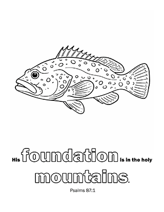 His foundation