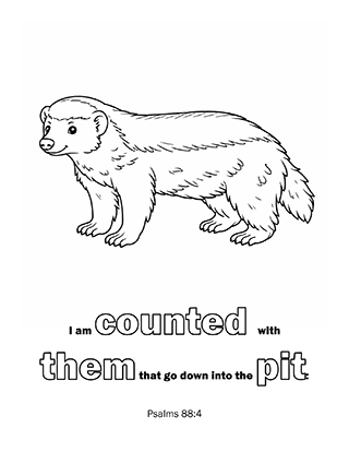 I am counted