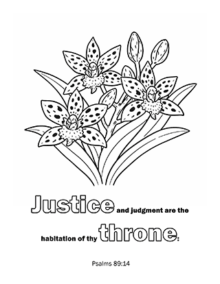 Justice and judgment