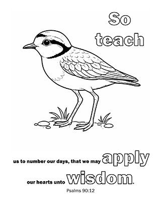 So teach us