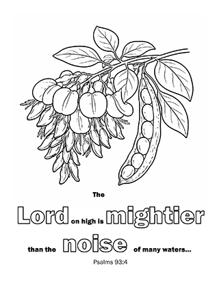 The Lord on