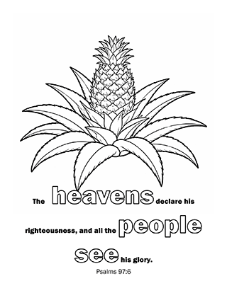 The heavens
