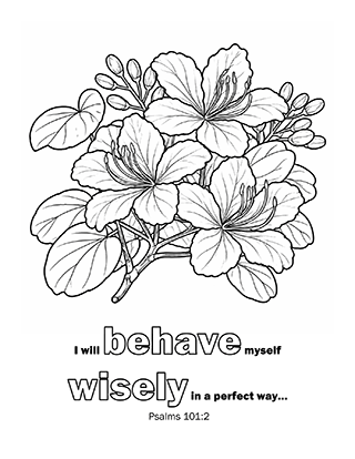 I will behave