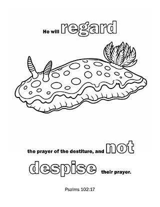 He will regard