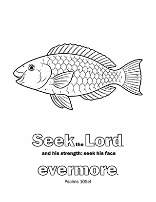 Seek the Lord