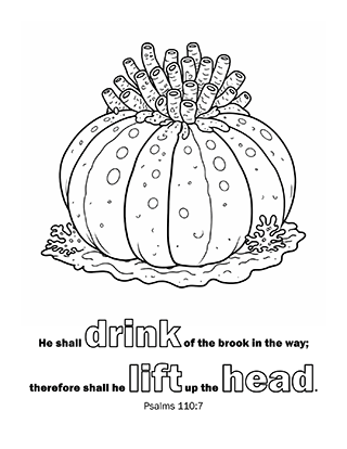 He shall drink