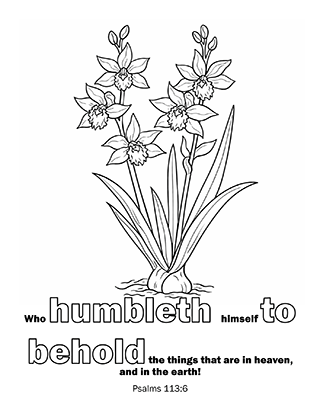 Who humbleth