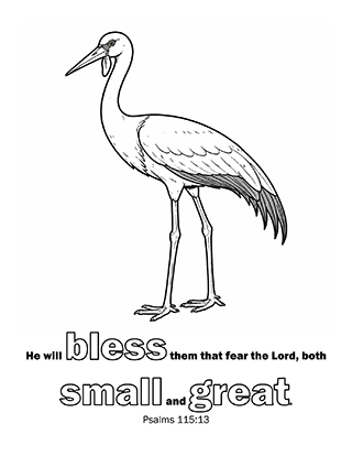 He will bless