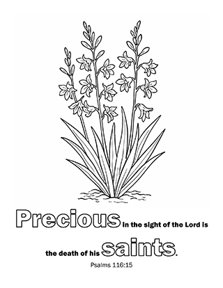 Precious in the