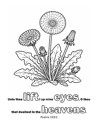 Unto thee lift
