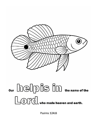 Our help is
