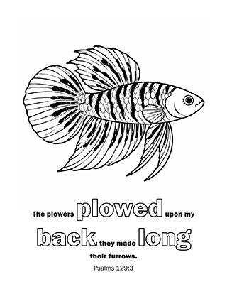 The plowers