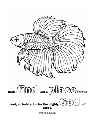 Until I find