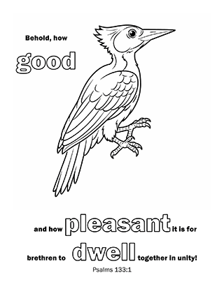 Behold how good
