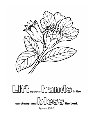 Lift up your