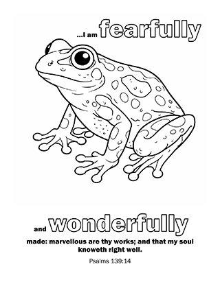 I am Fearfully and Wonderfully Made