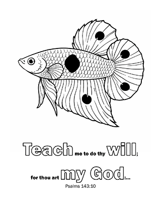 Teach me to