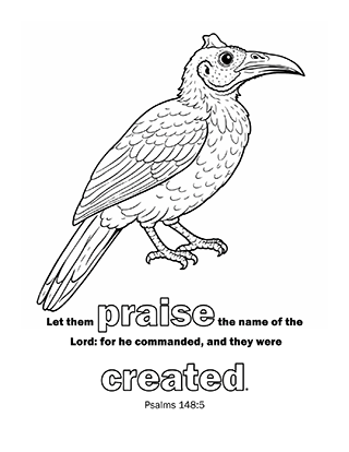Let them praise