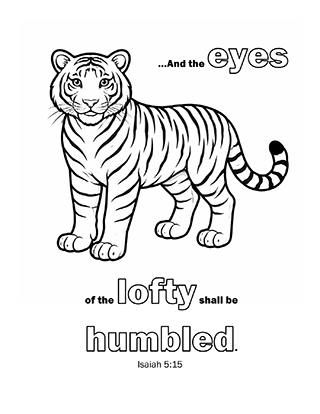 And the eyes